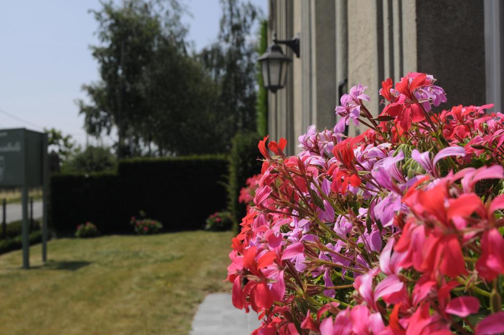 D'Hommelbelle Otel Poperinge Dış mekan fotoğraf